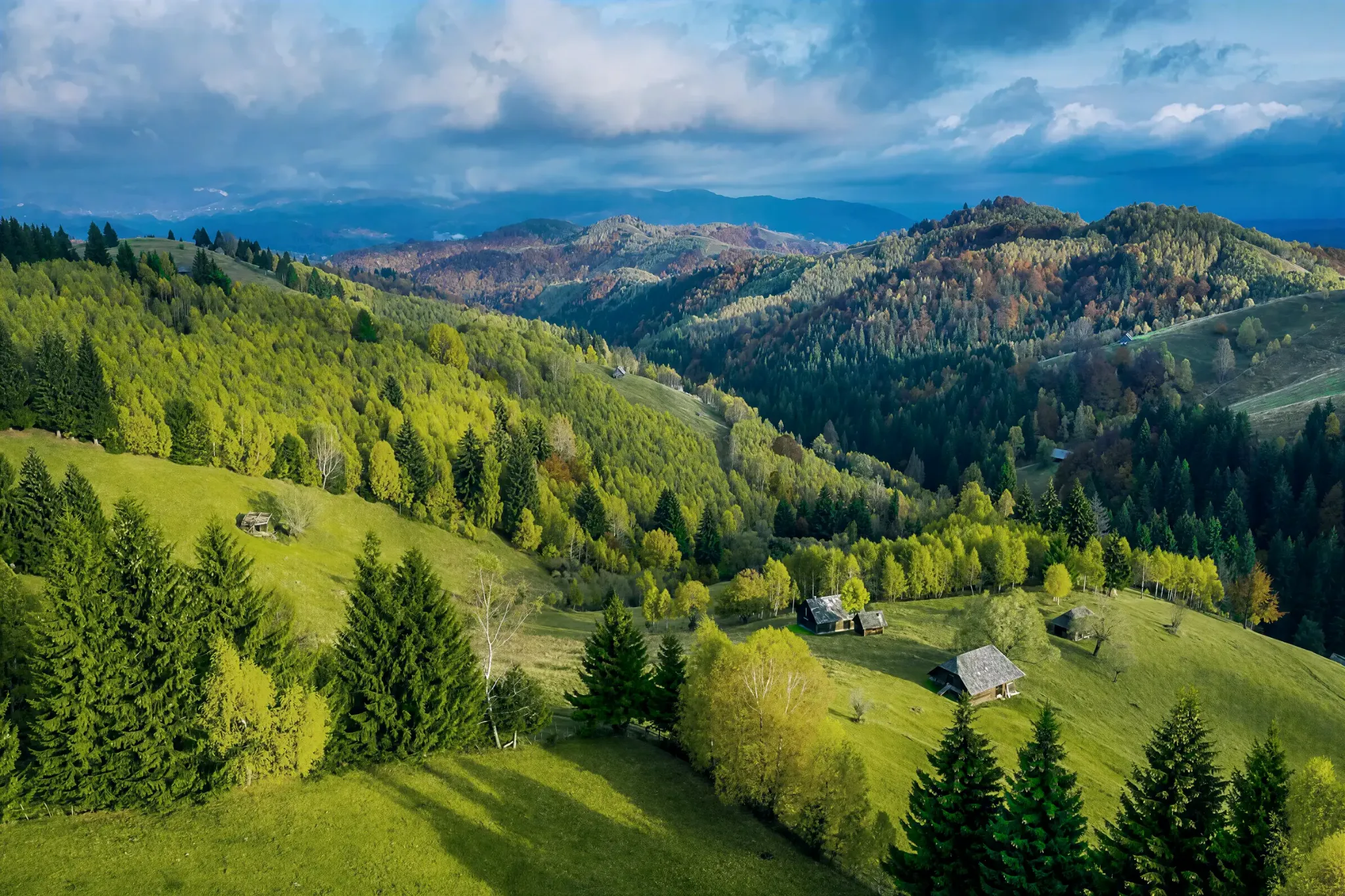 Dealuri și păduri din Transilvania